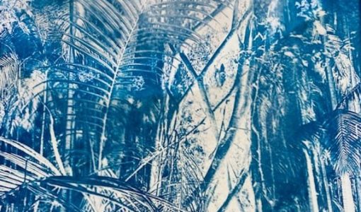 Cyanotype image cheryle